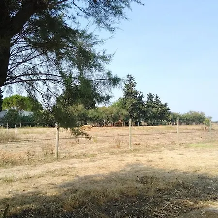 Avec Jardinet Dans Mas équestre Appartamento Saint-Laurent-dʼAigouze