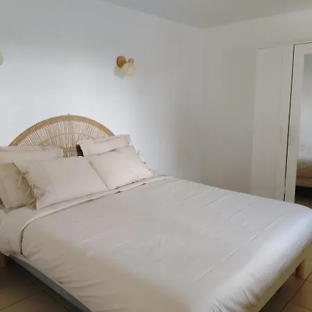 Avec Jardinet Dans Mas Equestre Lägenhet Saint-Laurent-dʼAigouze