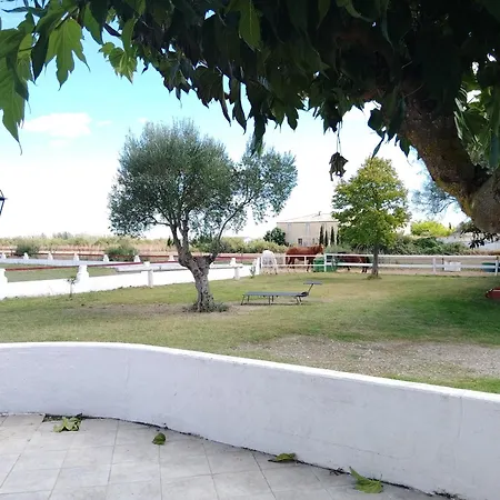 Appartamento Avec Jardinet Dans Mas équestre