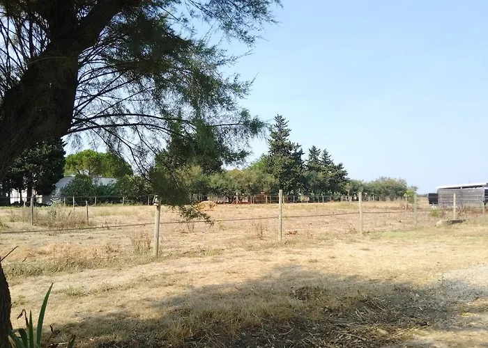 Mas Petite Panisse Equestre Apartment Saint-Laurent-dʼAigouze